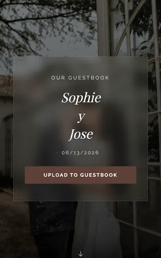 Aperçu du modèle de site de mariage Dusk
